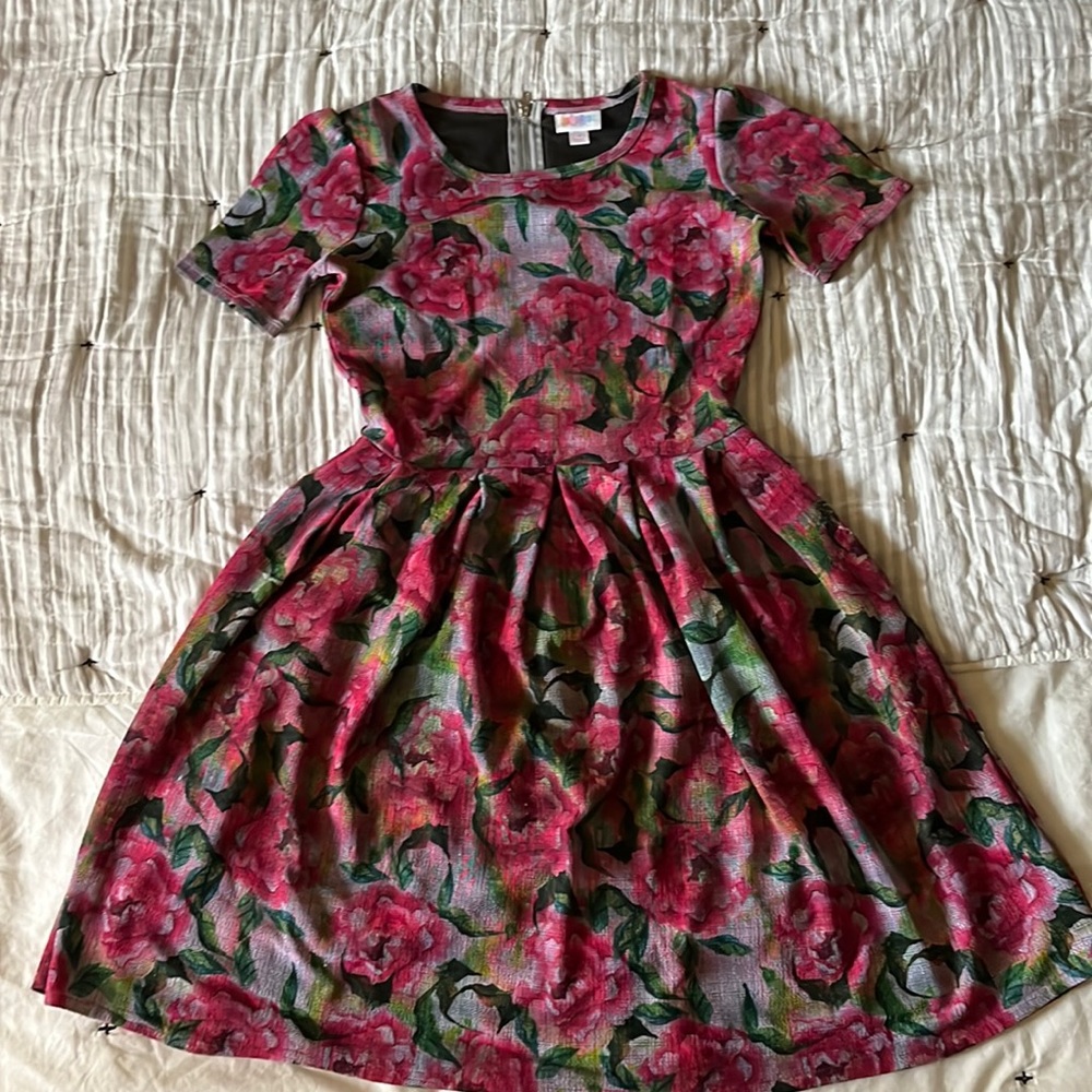 LulaRoe size small dress